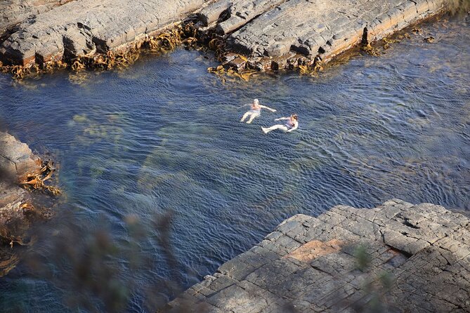 Tasman Peninsula Small-Group Guided Tour From Hobart - Price and value: is $107.59 a fair deal?
