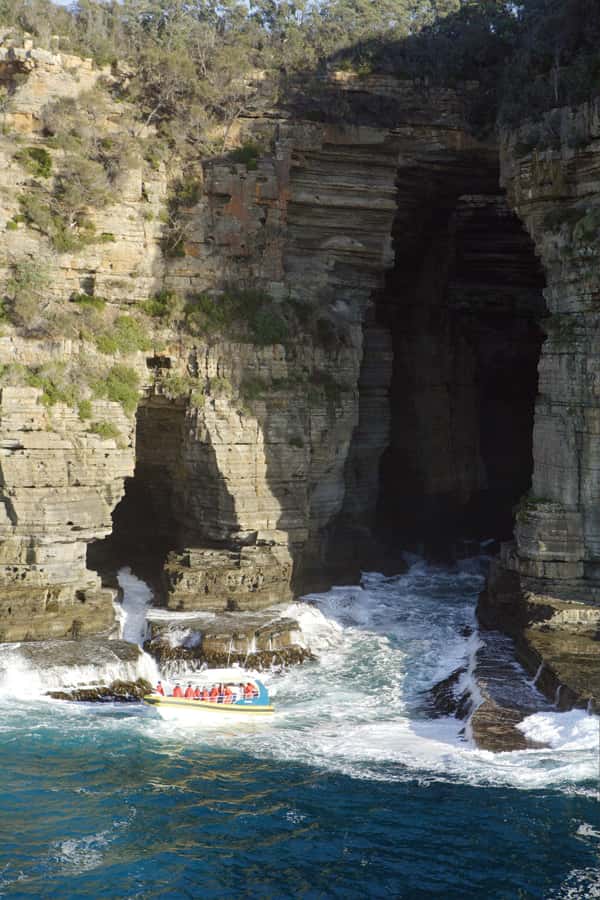 Tasman Peninsula Tour, Cruise & Port Arthur Historic Site - Port Arthur Historic Site: 3 hours that balance learning and walking