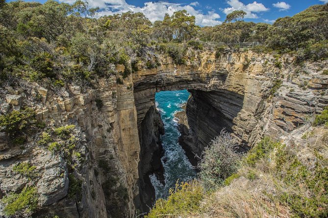 Tasman Peninsula Wilderness Cruise from Port Arthur - Crew and Commentary: The Human Touch That Makes It Worth It
