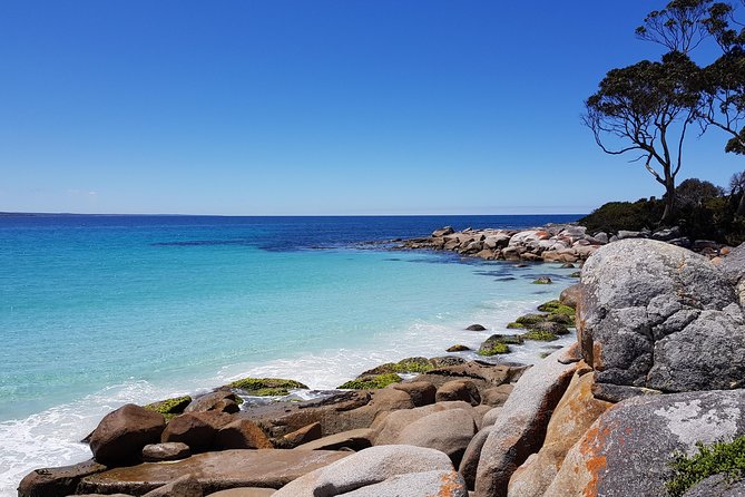 Tasmania 5 Day East Coast Tour - First Impressions: Why This East Coast Route Works