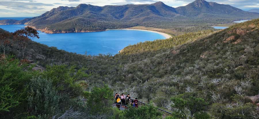 Tasmania: 6-Day Comfort Tour for Wilderness and Wildlife - Day 1: Hobart to Queenstown via Salamanca and the Giant Forest Feel