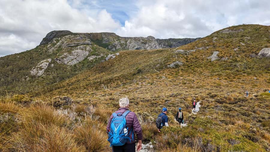 Tasmania: 6-Day Comfort Tour for Wilderness and Wildlife - Day 2: Gordon River Cruise, Sarah Island, and Huon Pine Rainforest