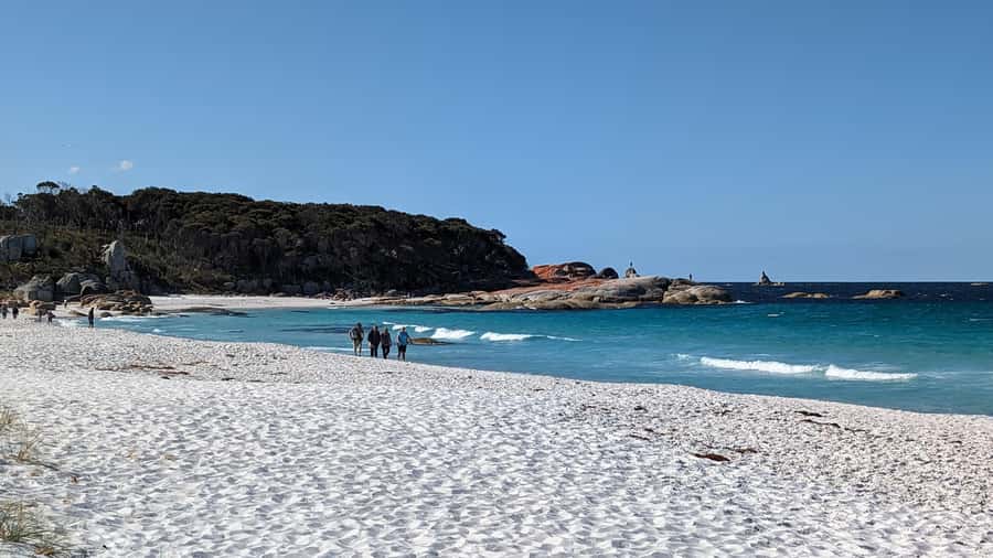 Tasmania: 6-Day Comfort Tour for Wilderness and Wildlife - Day 5: Wineglass Bay Lookouts, Freycinet’s Hazards, and Eaglehawk Neck Arrivals