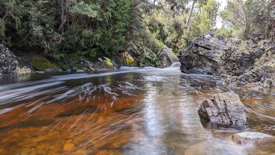 Tasmania: 7-Day West to East Tour - What the guide + small-group format really changes
