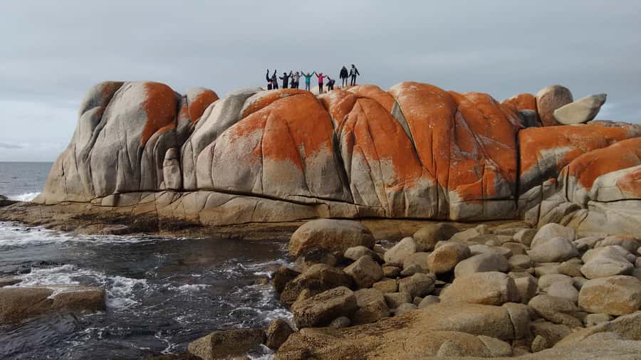 Tasmania: 7-Day West to East Tour - Why this West-to-East route works in 7 days