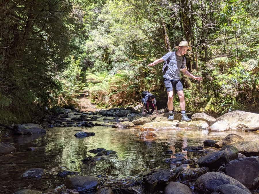 Tasmania: Wilderness and Wildlife Guided 6-Day Tour - Accommodation and getting around: hostel vs motel choices