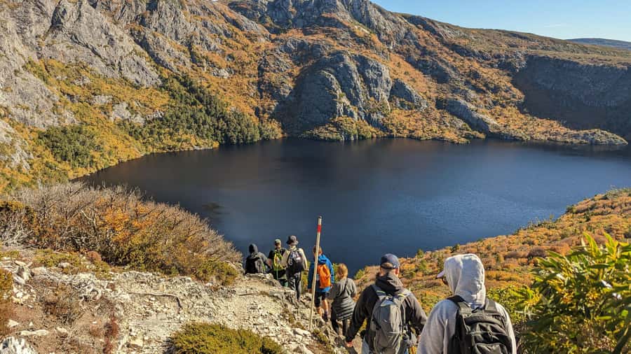 Tasmania: Wilderness and Wildlife Guided 6-Day Tour - A six-day sampler of Tasmania’s wild sides