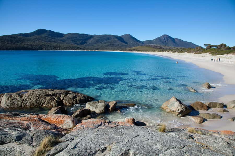 Tasmania: Wilderness and Wildlife Guided 6-Day Tour - Day 2: Wild West Coast day with Henty Sand Dunes and rainforest walks