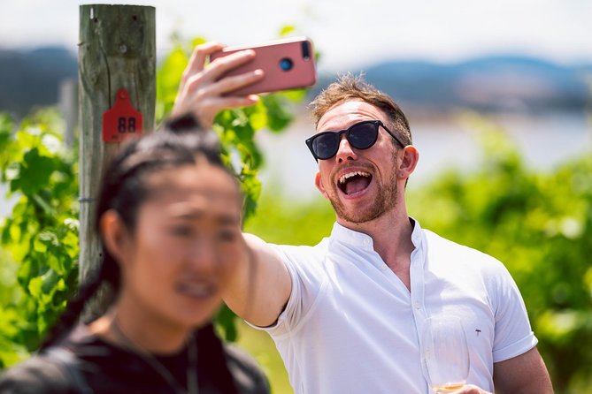 Tasmanian Premium Wine Tour with Tasmanian Cheese Platter - Your host matters: what you can learn from Ben, Tim, and more