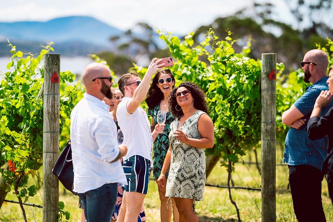 Tasmanian Premium Wine Tour with Tasmanian Cheese Platter - Price and value: is $207.28 worth it?