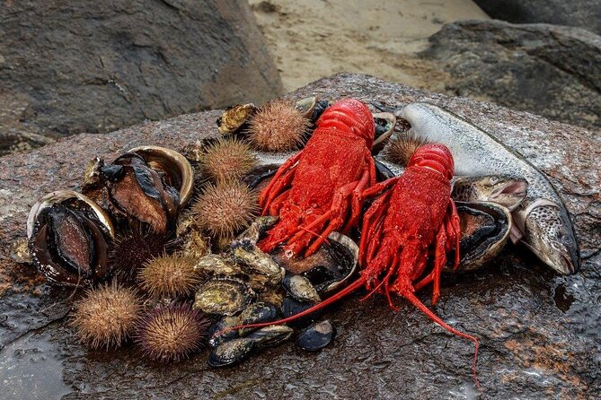 Tasmanian Seafood Gourmet Full-Day Cruise Including Lunch - Key Points You’ll Care About