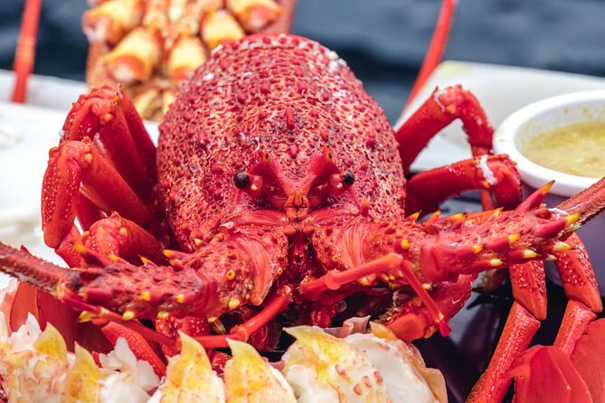Tasmanian Seafood Gourmet Full-Day Cruise Including Lunch - Price and Value: Why This Costs What It Costs