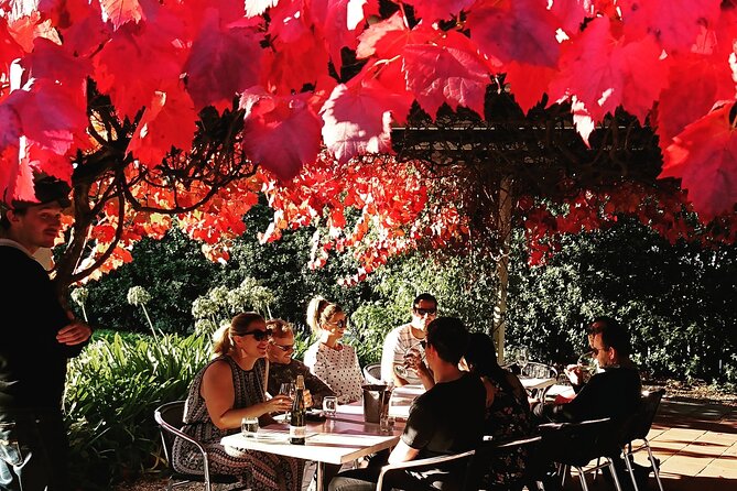 Valleys of Vino Full Day Tour - Key highlights you’ll care about