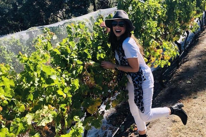 Valleys of Vino Full Day Tour - Derwent Estate (45 minutes): a proper start in the Derwent Valley