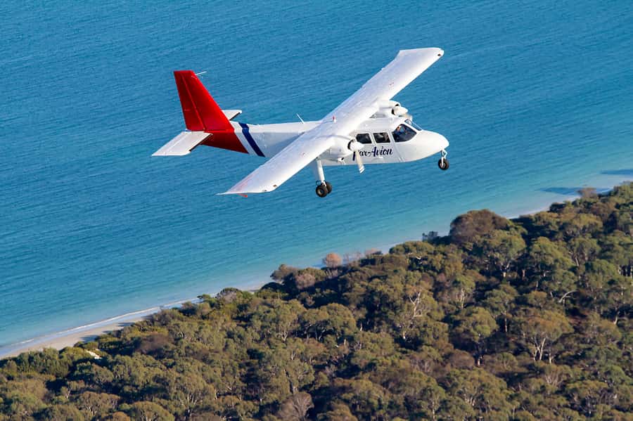 Wineglass Bay and Maria Island Scenic Flight Experience - The Ile Des Phoques Moment: Seals on the Flight Path