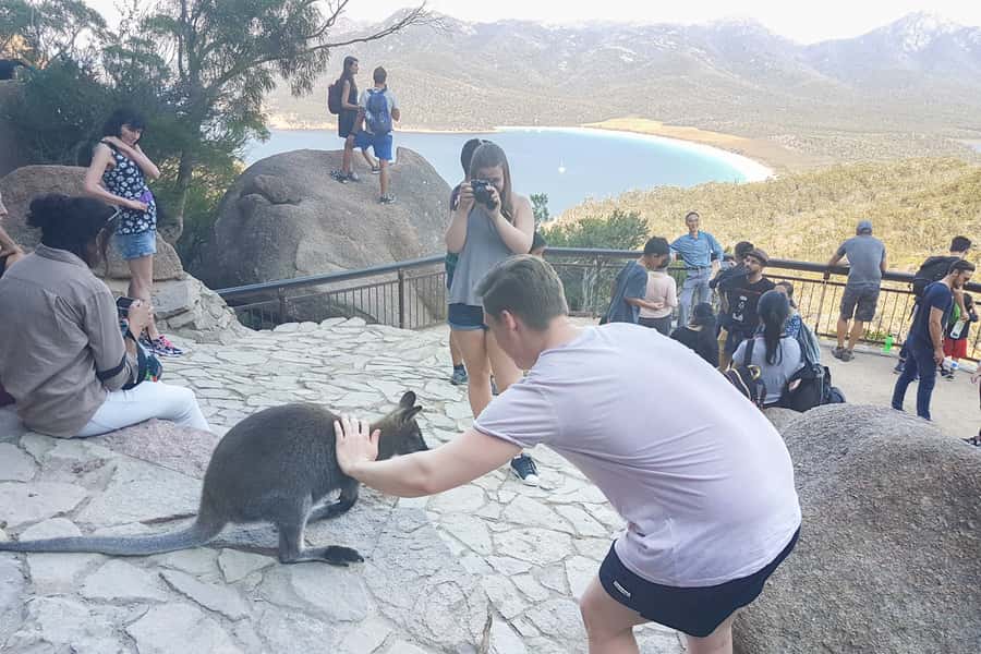 Wineglass Bay & Freycinet National Park Day Trip from Hobart - From Hobart to Freycinet: what the 10 hours really feel like