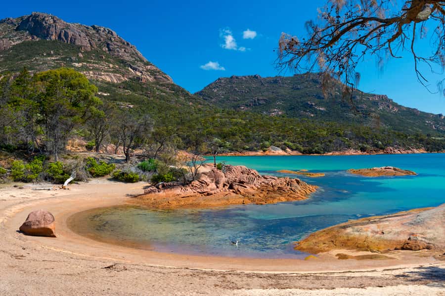 Wineglass Bay & Freycinet National Park Day Trip from Hobart - Freycinet Marine Farm: seafood and local flavors, with spending options